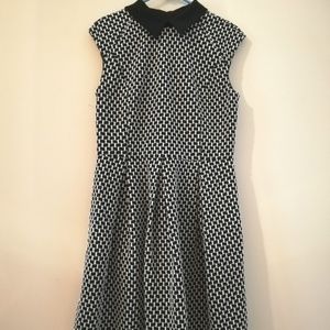 Ann Taylor Peter pan collar patterned dress